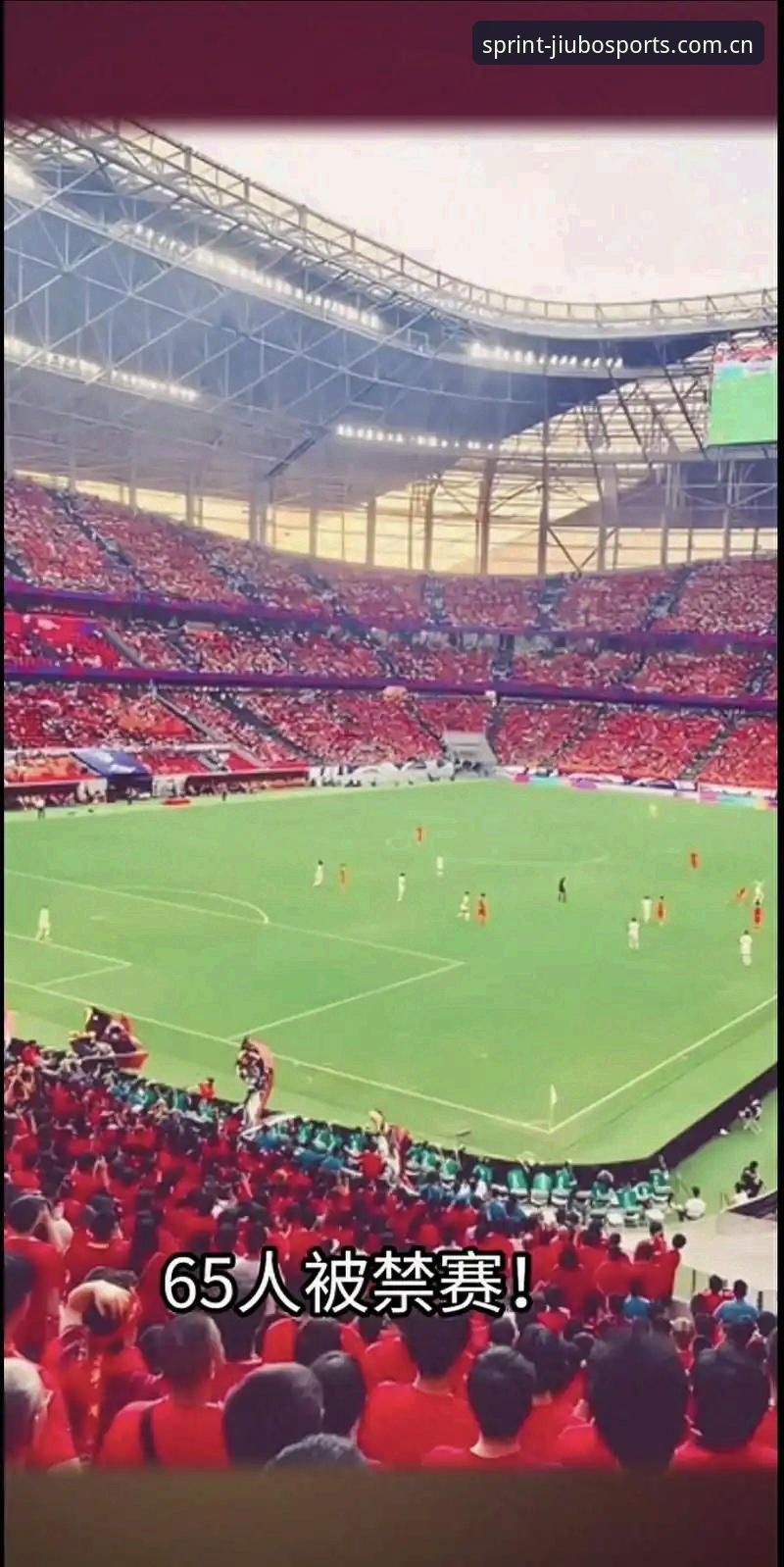 足协第三批禁足名单深度分析：17人终身禁赛背后的足球腐败全面解析